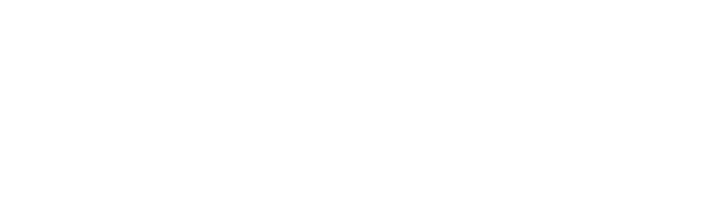 Full Analog Experience - Logo